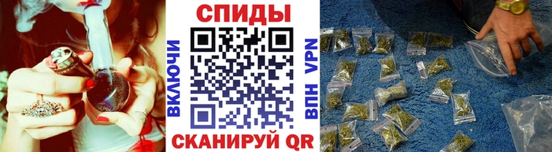 где можно купить Лысково Бутират 1.4BDO