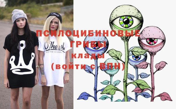 соль курить ск Гусев